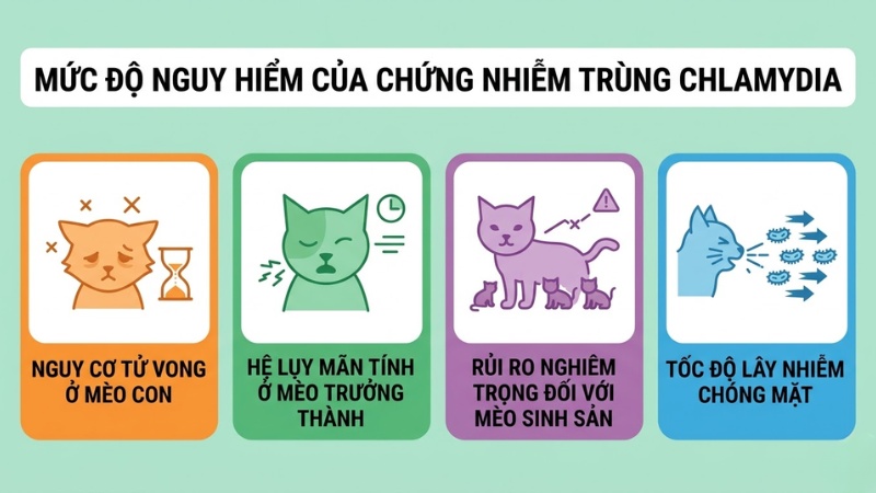 Mức độ nguy hiểm của chứng nhiễm trùng chlamydia đối với sức khỏe thú cưng