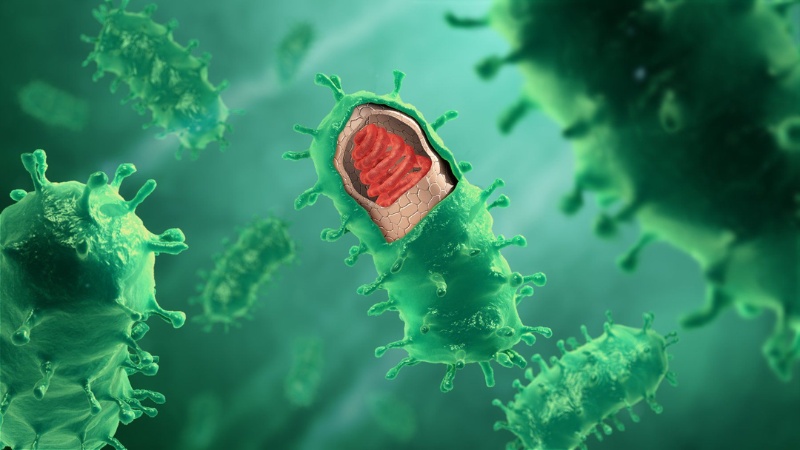 Tác nhân cốt lõi gây bệnh là từ virus dại