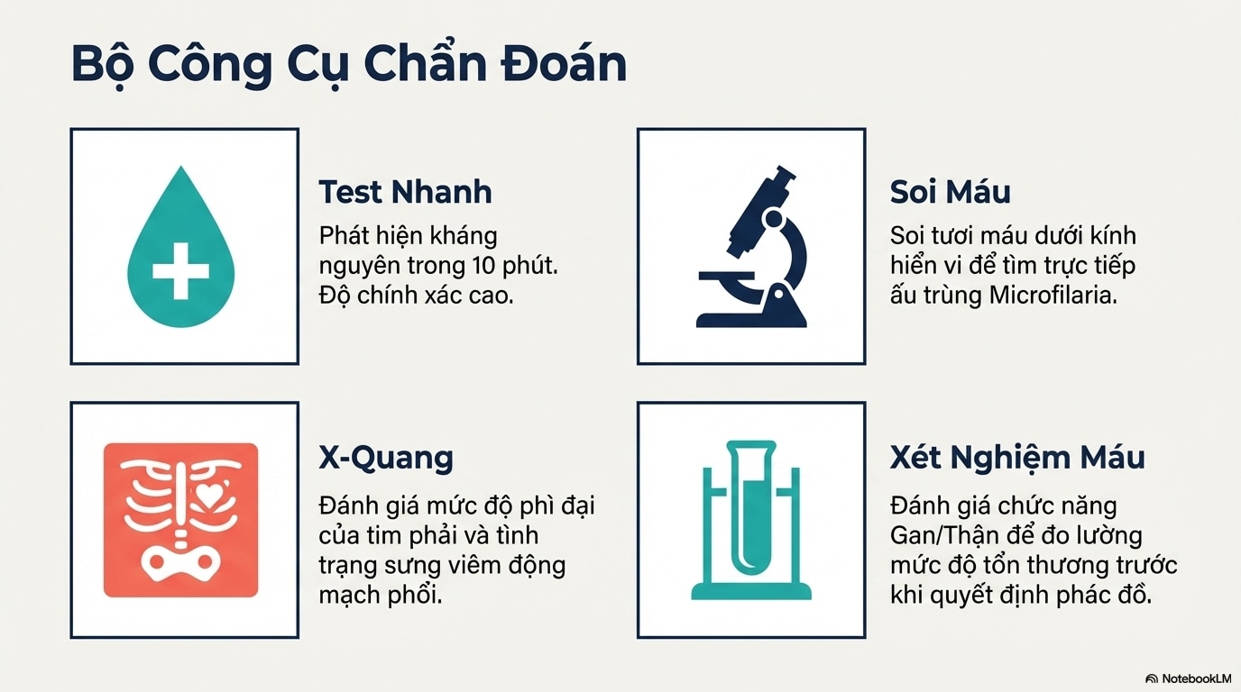 Phương pháp chẩn đoán y khoa chính xác từ bác sĩ thú y